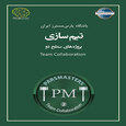 تیم سازی