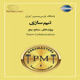 تیم سازی